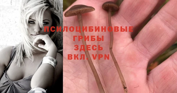 не бодяженный Снежинск