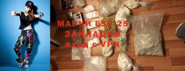 амф Гатчина