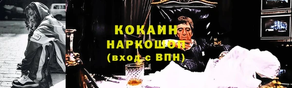 амф Гатчина