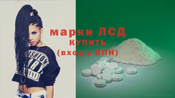 амф Гатчина