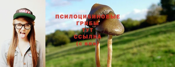 эйфоретик Галич