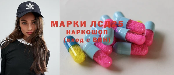 амф Гатчина