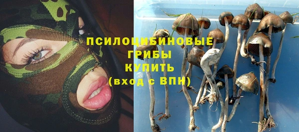 крисы Алзамай