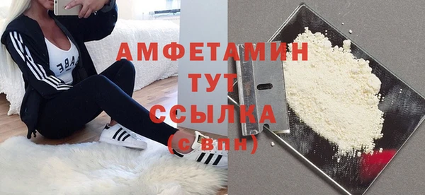 амф Гатчина