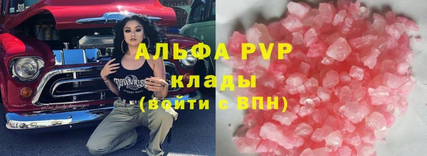 индика Новодвинск