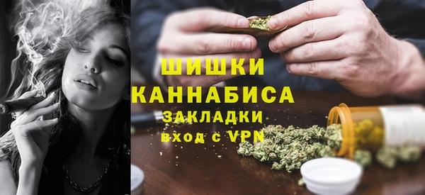 амф Гатчина