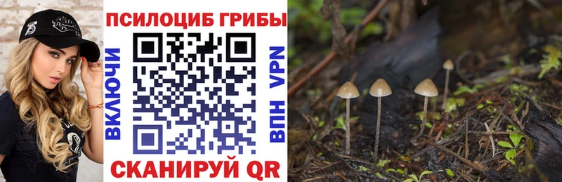 Галлюциногенные грибы мицелий  Тара 