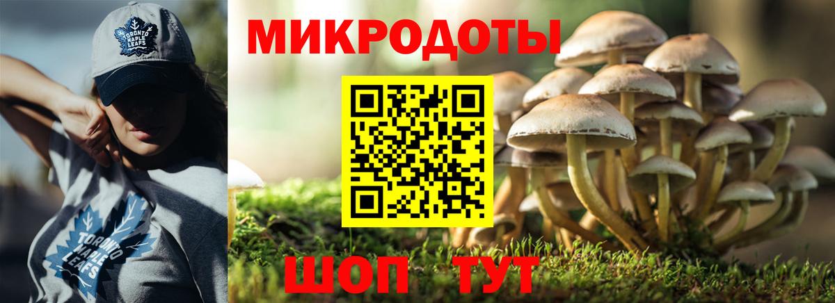 Галлюциногенные грибы мухоморы  Тара  Псилоцибиновые грибы Magic Shrooms 